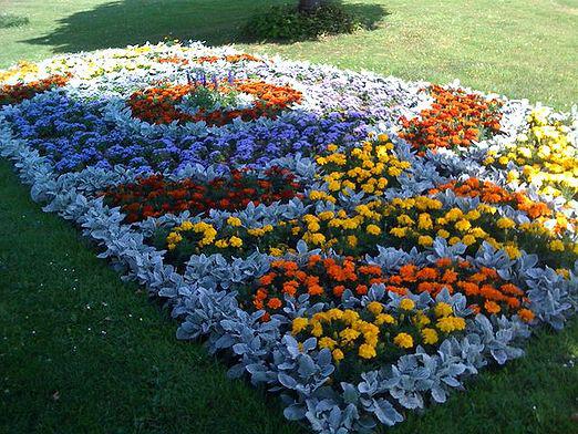 What flowers to plant on a flower bed?