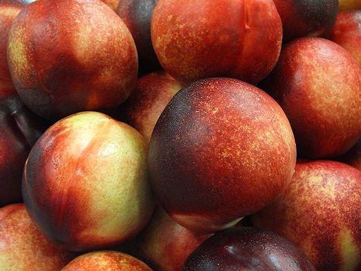 What is useful for nectarine?