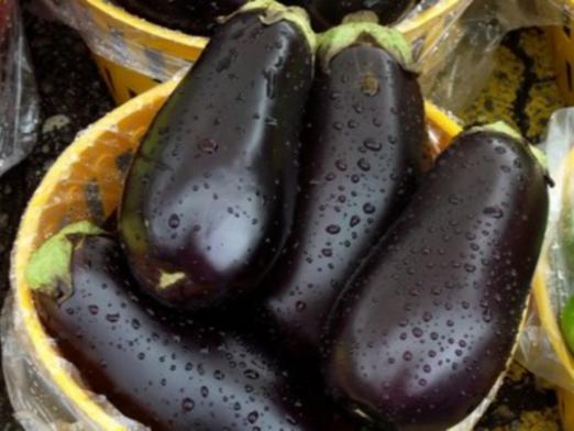 Why are eggplants useful?