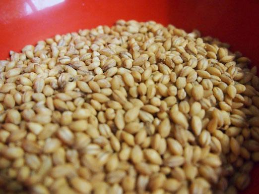 How to cook a pearl barley?