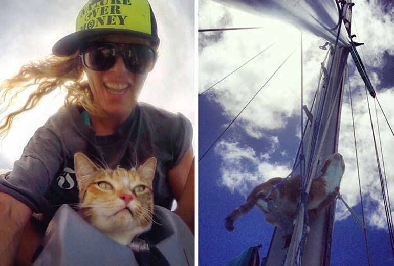cat on a yacht