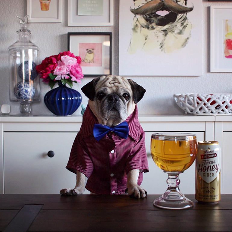 The most stylish barman instagrama