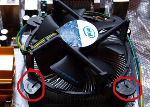 How to remove the cooler from the processor?