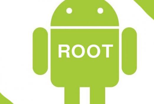 What is Root?