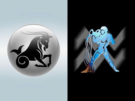 What is the zodiac sign in January?