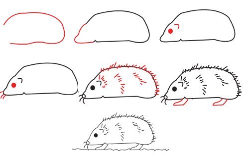 How to draw a hedgehog?