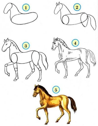 How to draw a horse in pencil?