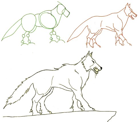 How to draw a wolf?