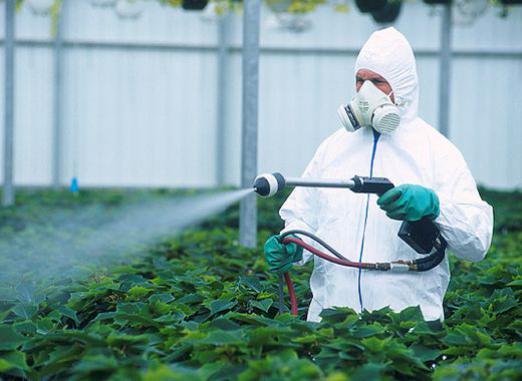 What are pesticides?