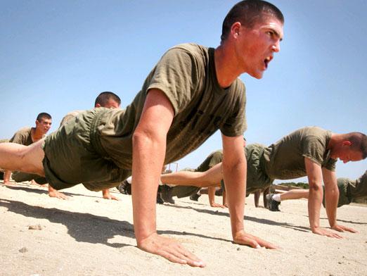 What muscles work with push-ups?