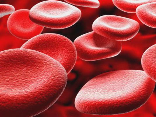 Than to raise or increase erythrocytes?