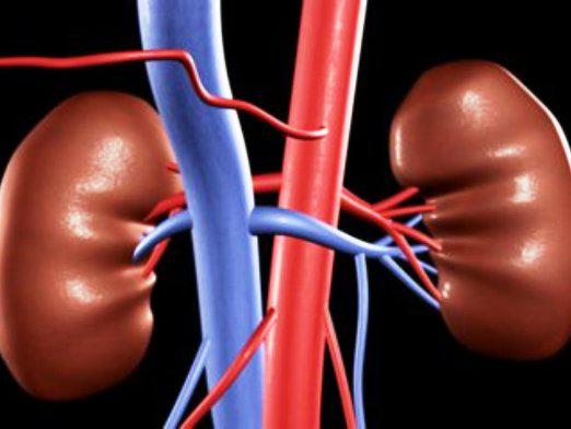 How the kidneys hurt: symptoms