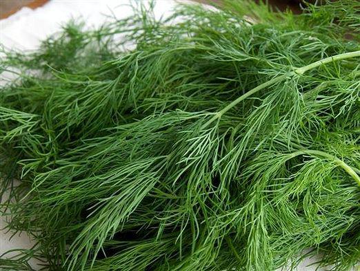 How to brew dill?