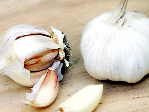 Can garlic be pregnant?
