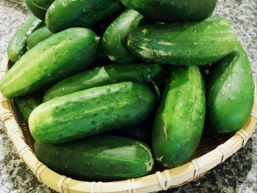 Is it possible for the nursing mother to pick up cucumbers?